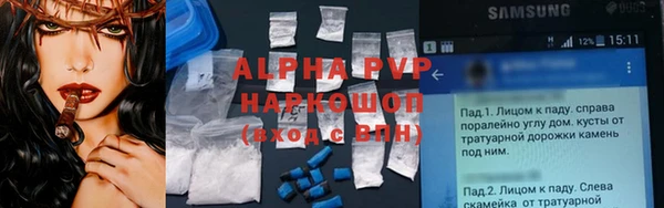 мяу мяу мука Елабуга