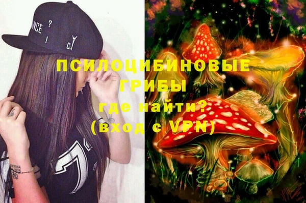 гашиш Ельня