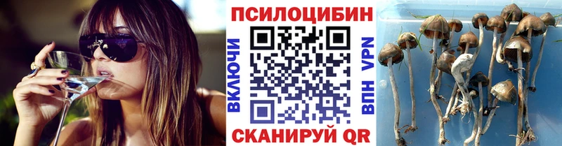 Галлюциногенные грибы Psilocybe  наркота  мориарти формула  Шарья  blacksprut вход 